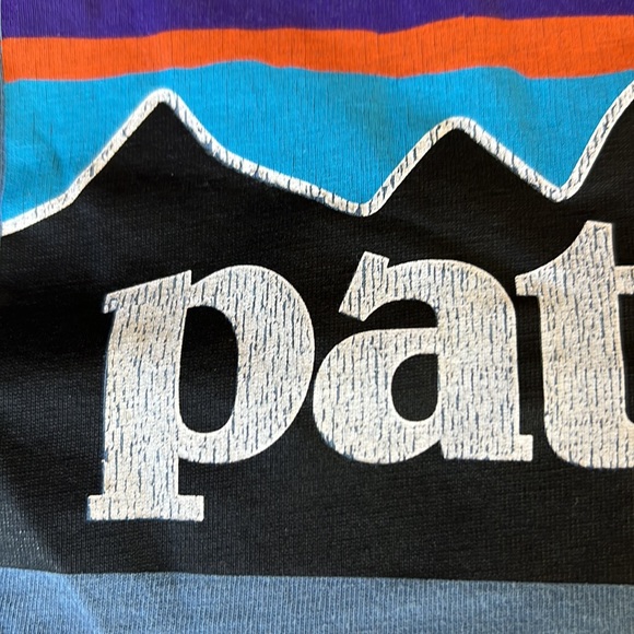 Patagonia Organic Cotton Tee - Picture 6 of 6